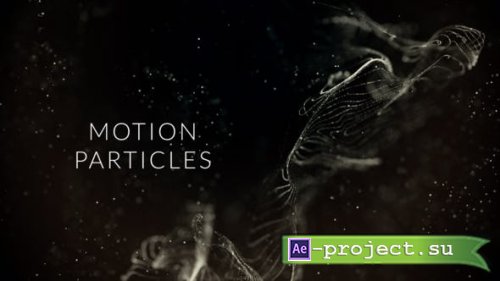 Videohive - Motion Particles - 33868865 - Project for After Effects