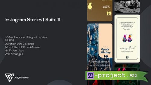 Videohive - Instagram Stories | Quotes | Suite 11 - 34342946 - Project for After Effects