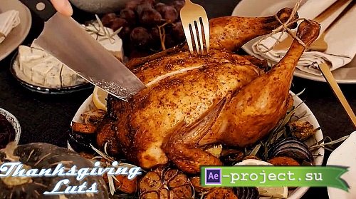 Slog3 Thanksgiving And Standard Luts 1046939 - After Effects Presets