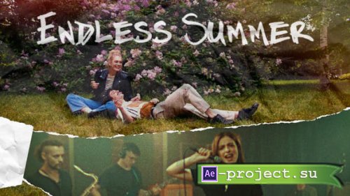 Videohive - Endless Summer - 34398288 - Project for After Effects