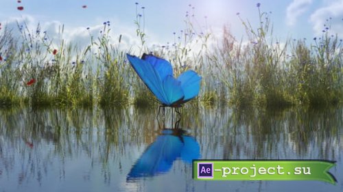Videohive - Landing Butterfly Logo Reveal - 26501632 - Project for After Effects