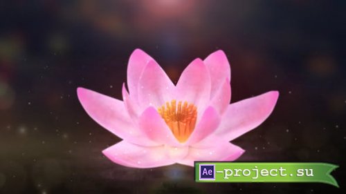 Videohive - Blooming Lotus Logo Reveal - 31343563 - Project for After Effects