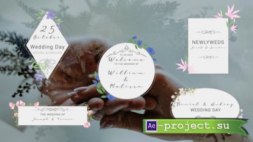 Videohive - New Wedding Titles - 35148604 - Project for After Effects