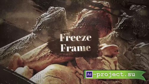 Videohive - Westland Freeze Frame - 35228011 - Project for After Effects
