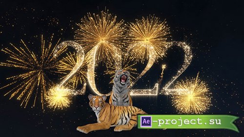 Tigers and fireworks 2022 with voice acting  - Footage 4K