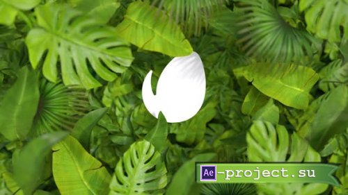 Videohive -  Nature Logo - 35376432 - Project for After Effects