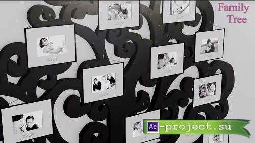 Family Tree (4k Slideshow) 10217 - Project for After Effects