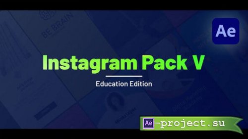 Videohive - Instagram Stories V - 35484465 - Project for After Effects 