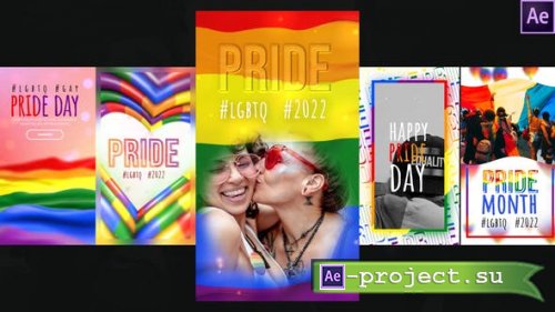 Videohive - LGBTQ Instagram Stories Pack - 35639693 - Project for After Effects