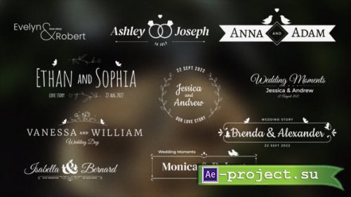 Videohive - Wedding/Romantic Titles 2 - 35518811 - Project for After Effects