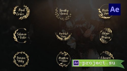 Videohive - Gold Wedding TItles | After Effects - 35835681 - Project for After Effects