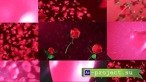 Videohive - Valentine Transitions Pack - 35880898 - Project For Final Cut & Apple Motion