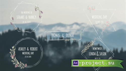 Videohive - Wedding Titles V2 - 35998586 - Project for After Effects