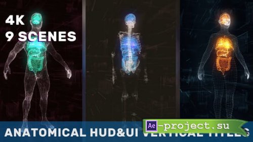 Videohive - Anatomical Vertical HUD UI Titles - 36051112 - Project for After Effects