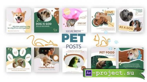 Videohive - Social Media Pet Posts - 35839370 - Project for After Effects