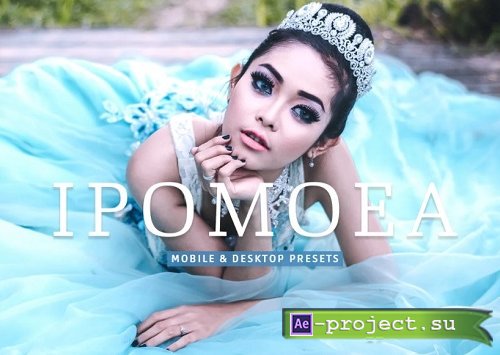 Ipomoea Pro Lightroom Presets - 7039555