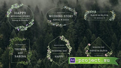 Videohive - Wedding Titles - 36434236 - Project for After Effects