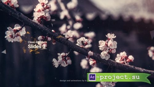Videohive - Clean Modern Slides 3 - 36643346 - Project for After Effects