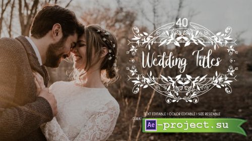 Videohive - 40 Flourish Wedding Titles | After Effects - 37182008 - Project for After Effects