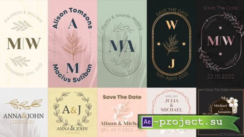 Videohive - Wedding Titles for Social Media - 37304577 - Project for After Effects