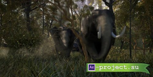 Videohive - Elephant Logo Reveal - 21262101 - Project for After Effects