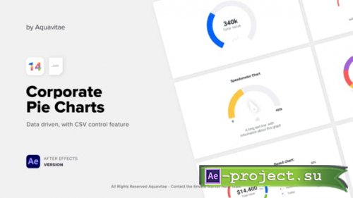 Videohive - CSV Driven Corporate Pie Charts - 37330905 - Project for After Effects