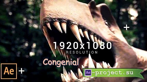 Congenial Opener 43 - Project for After Effects