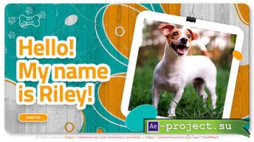 Videohive - My Lovely Pet - 37910354 - Project for After Effects