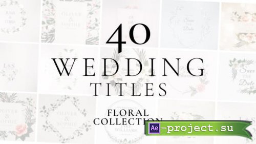 Videohive - Wedding Titles - 37071913 - Project for After Effects