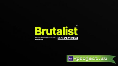 Videohive - Brutalist Instagram - 28814640 - Project for After Effects