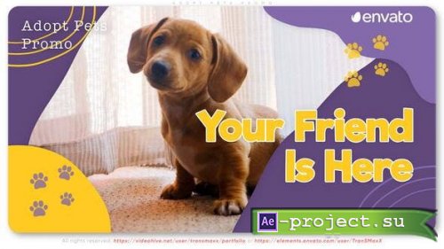 Videohive - Adopt Pets Promo - 38239208 - Project for After Effects 