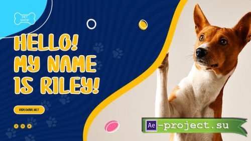 Videohive - Pet Shop Promo - 38134741 - Project for After Effects