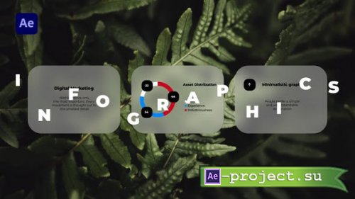Videohive - Infographics - 38408870 - Project for After Effects