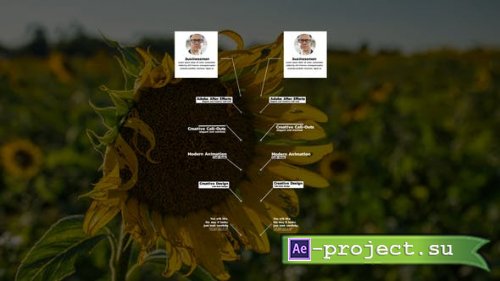 Videohive - Call Out Titles | After Effects - 38003024 - Project for After Effects
