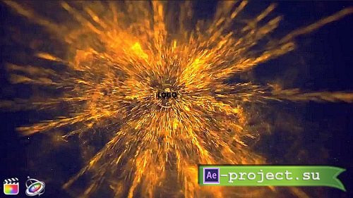 Videohive - Gold Particle Logo Reveal 38989729- Project For Final Cut & Apple Motion