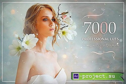7000+ Professional LUTs  Eldamar Studio