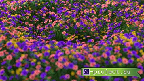 Videohive - wave flower logo reveal - 38315964 - Project for After Effects