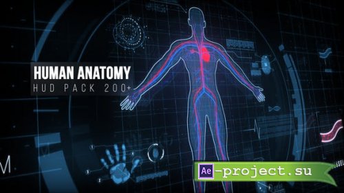 Videohive - Human Anatomy HUD Pack 200+ - 22128440 - Project for After Effects