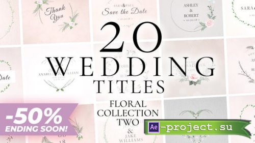 Videohive - Wedding Titles - 39176020 - Project for After Effects