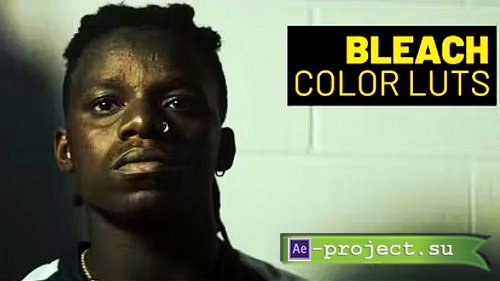 Videohive - Bleach 39495444 - Project For Final Cut Pro X