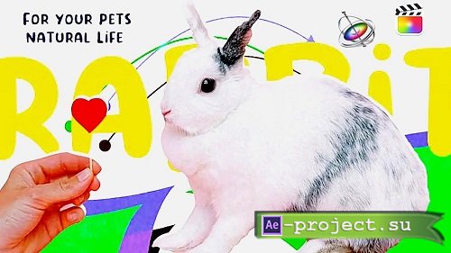 Videohive - Pethouse - Pets Shop & Animal Promo 35428638 - Project For Final Cut & Apple Motion