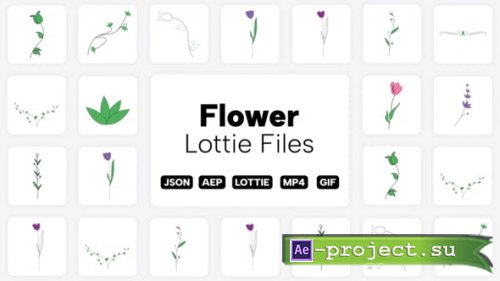 Videohive - Flower Lottie Elements - 39551704 - Project for After Effects