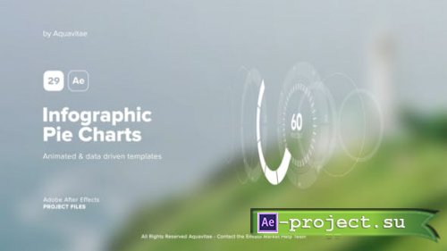 Videohive - Infographic Pie Charts - 39699110 - Project for After Effects