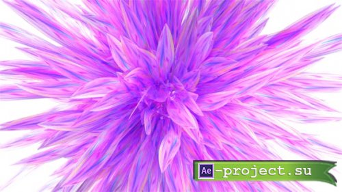 Videohive - Pink Flower Logo Reveal - 38952968 - Project for After Effects