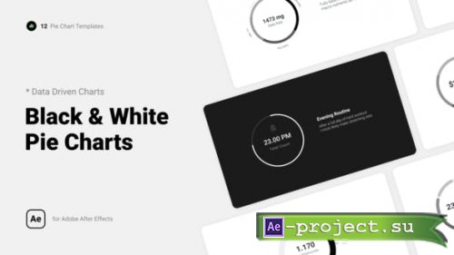 Videohive - Black & White Pie Charts - 39852807 - Project for After Effects