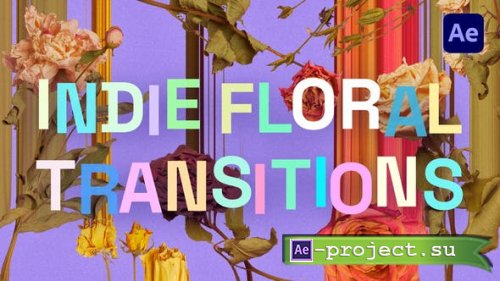 Videohive - Indie Floral Transitions - 40119568 - Project for After Effects