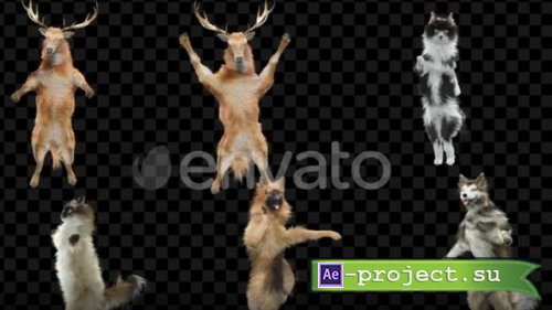 Videohive - Deer Cat Dog 6 Pack - 39952439 - Motion Graphics