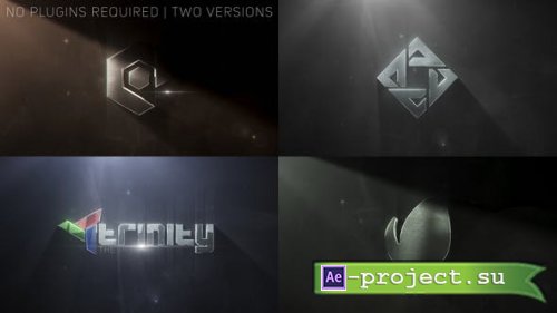 Videohive - Rise Logo - 22660075 - Project for After Effects