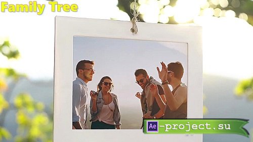 Videohive - Family Tree - Photo Gallery 4K 24782110 - Project For Final Cut Pro X