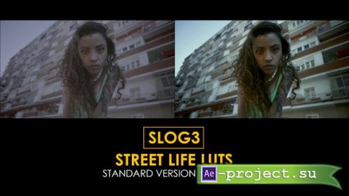 Videohive - Slog3 Street Life and Standard LUTs - 40916161 - DaVinci Resolve